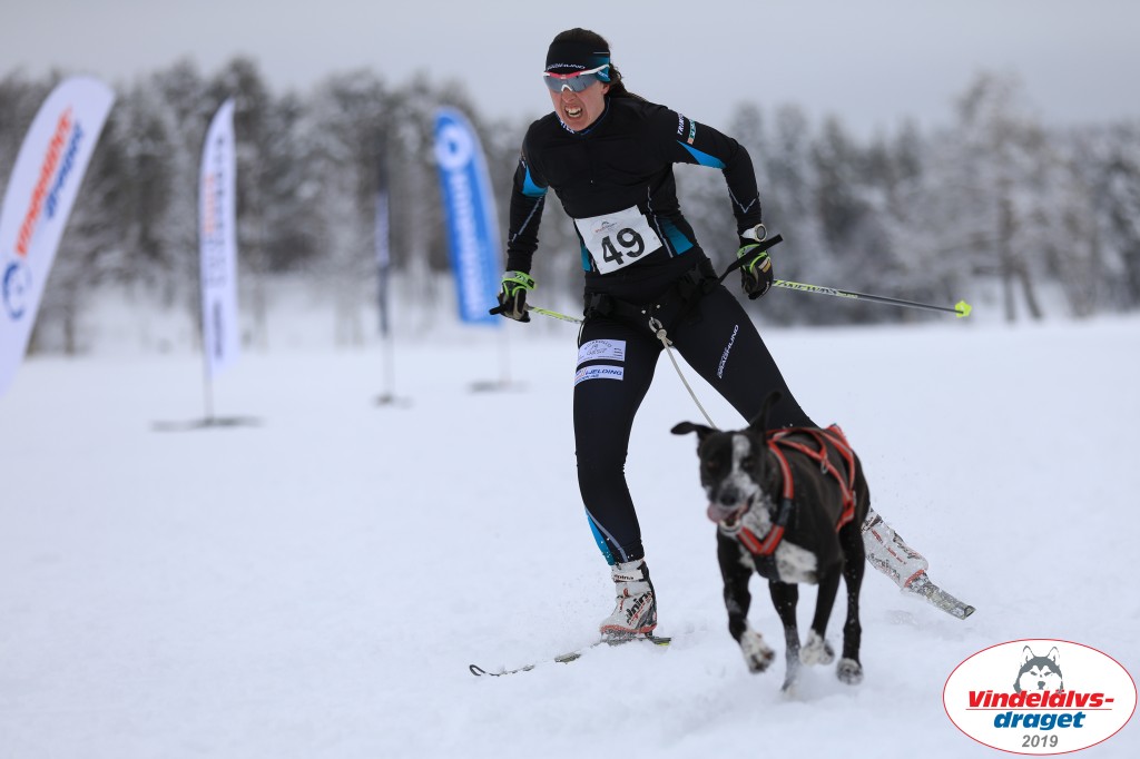 Vindelalvsdraget2019Fredag-90.jpg