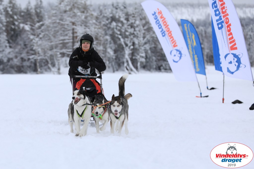 Vindelalvsdraget2019Fredag-95.jpg