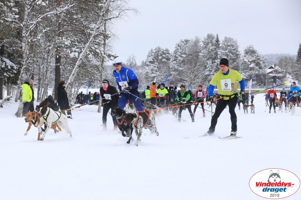 Vindelalvsdraget2019Lordag (10).jpg