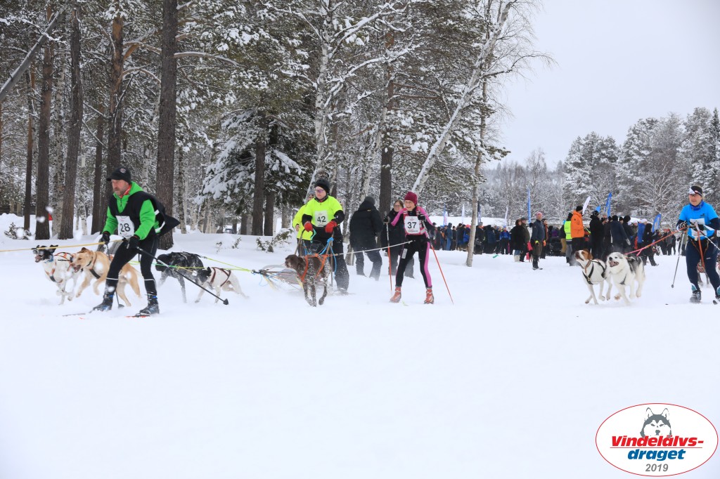 Vindelalvsdraget2019Lordag (11).jpg
