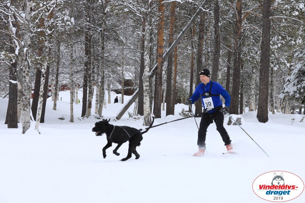 Vindelalvsdraget2019Lordag (16).jpg