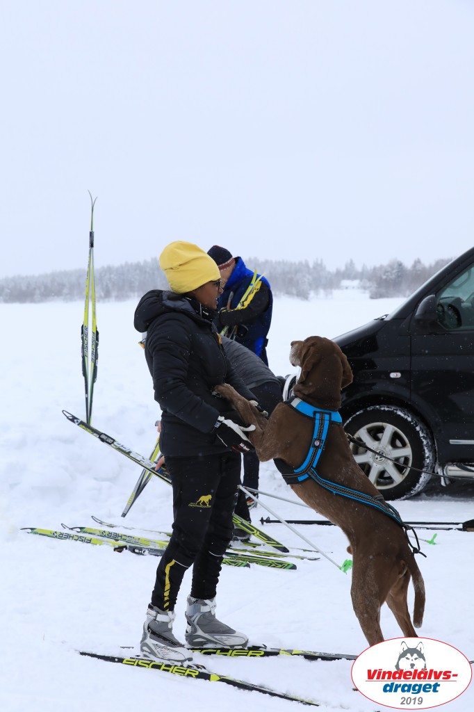 Vindelalvsdraget2019Lordag (23).jpg