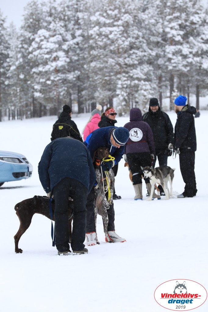 Vindelalvsdraget2019Lordag (24).jpg