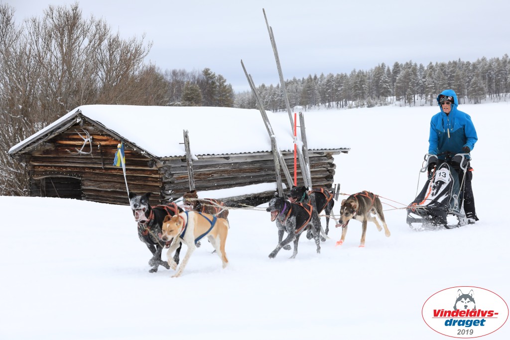 Vindelalvsdraget2019Lordag (38).jpg
