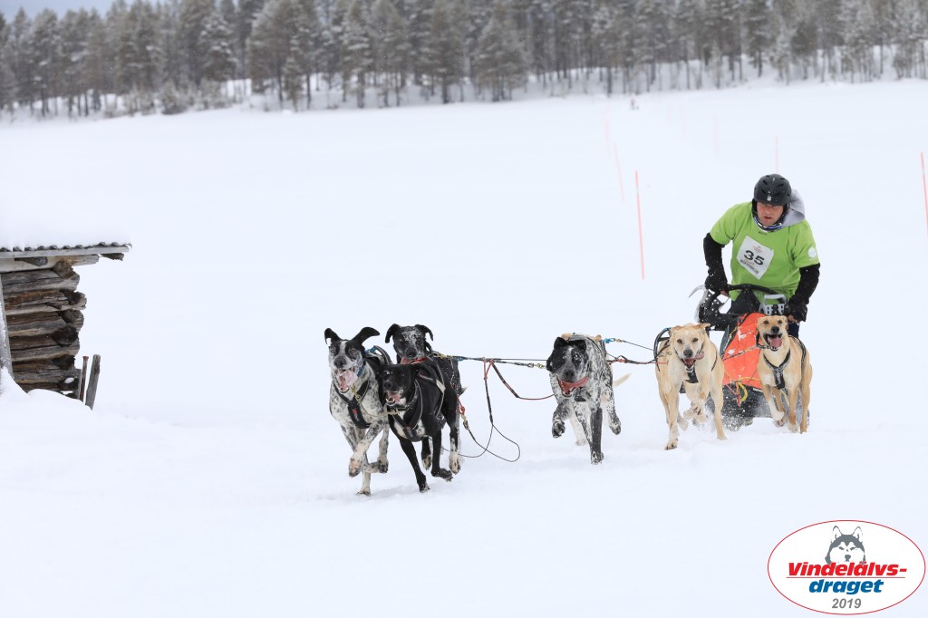 Vindelalvsdraget2019Lordag (44).jpg