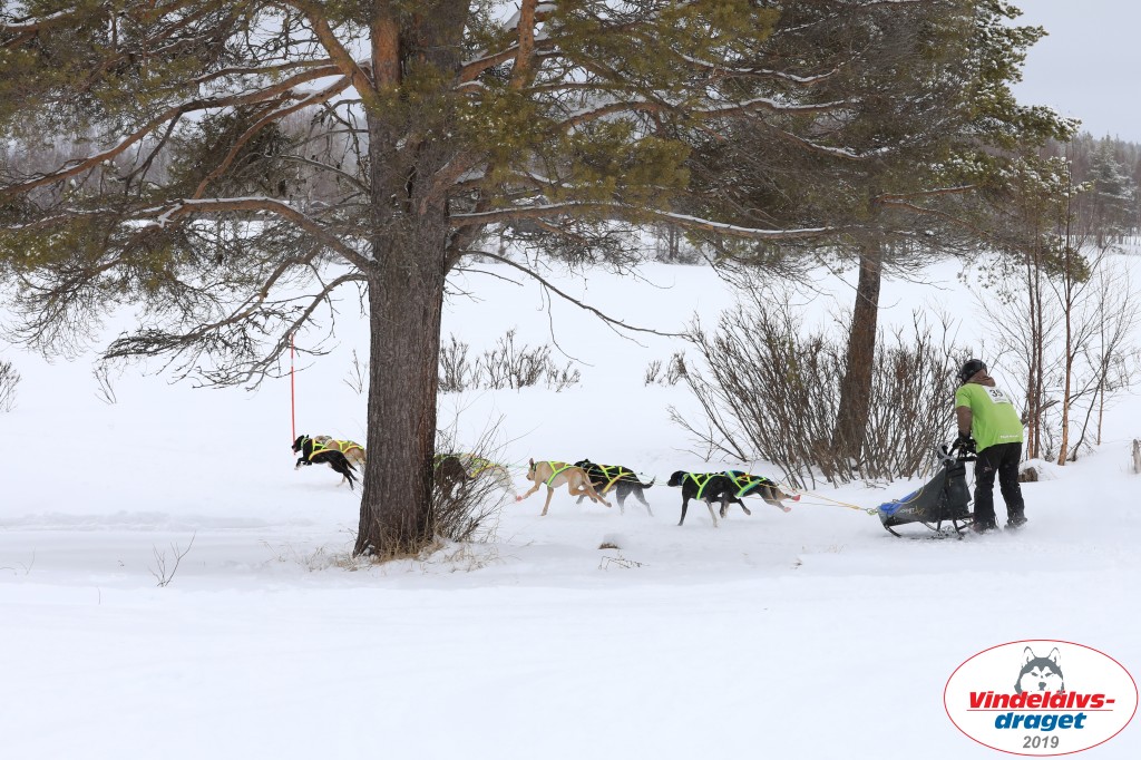 Vindelalvsdraget2019Lordag (46).jpg