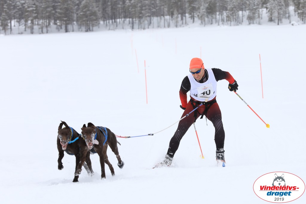 Vindelalvsdraget2019Lordag (47).jpg