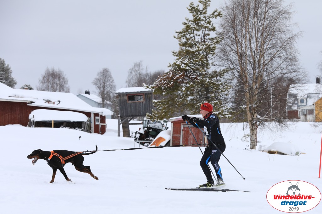 Vindelalvsdraget2019Lordag (50).jpg