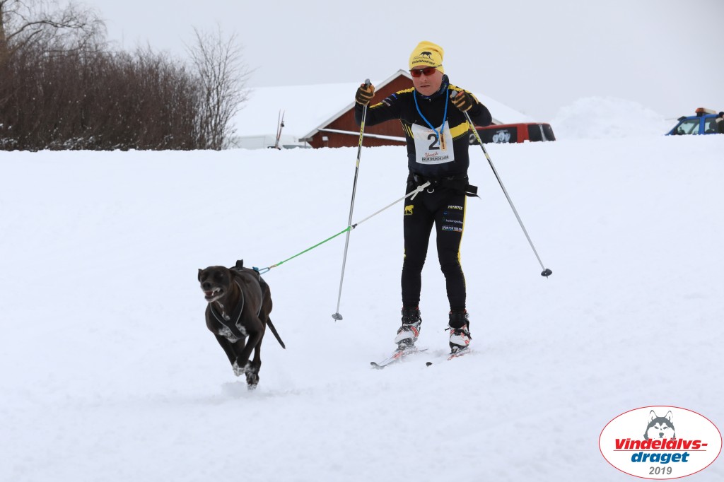 Vindelalvsdraget2019Lordag (51).jpg