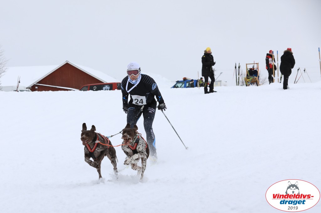 Vindelalvsdraget2019Lordag (52).jpg