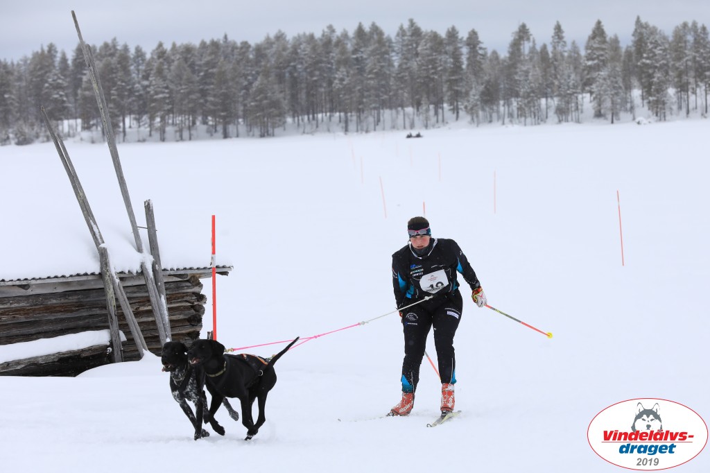 Vindelalvsdraget2019Lordag (53).jpg