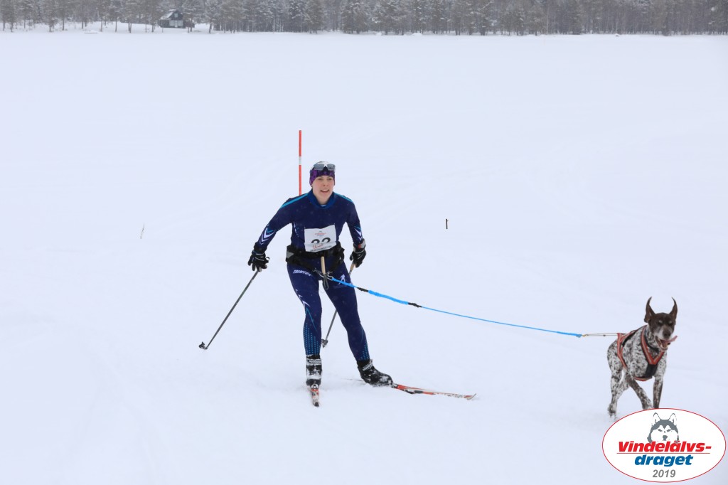 Vindelalvsdraget2019Lordag (55).jpg