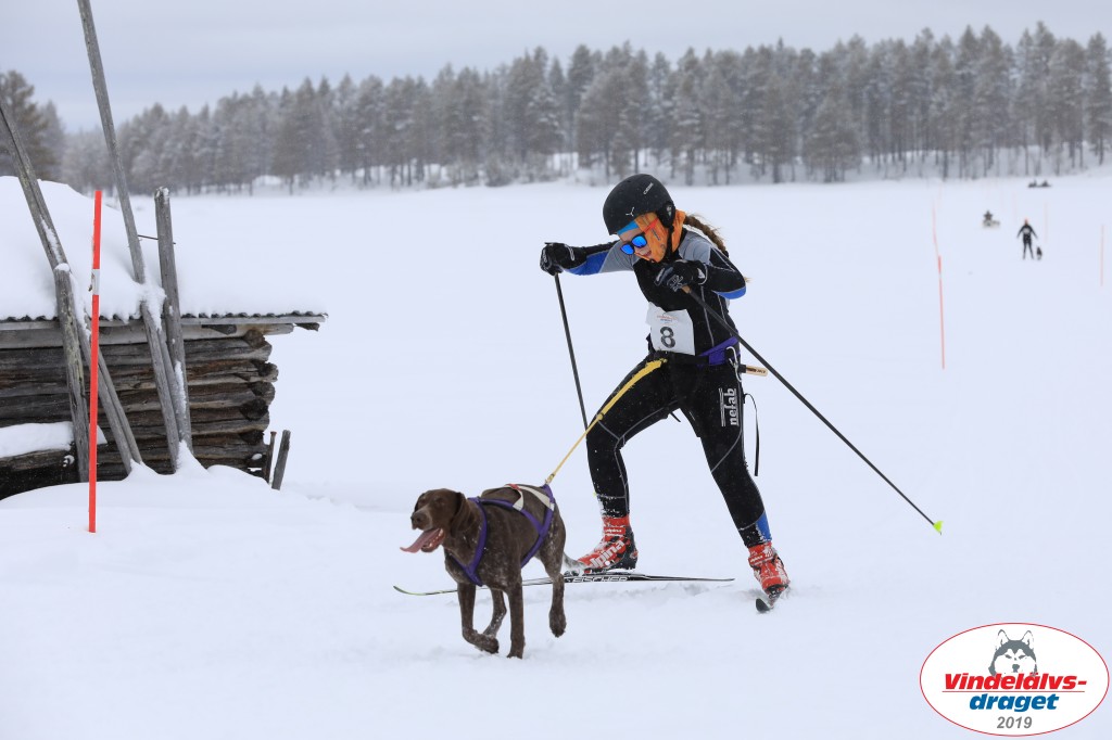 Vindelalvsdraget2019Lordag (56).jpg