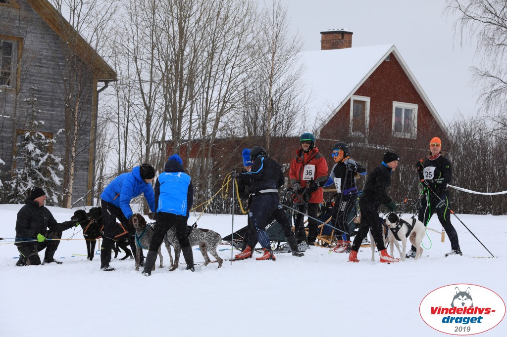 Vindelalvsdraget2019Lordag (57).jpg