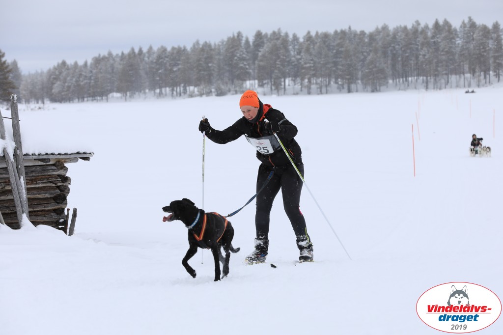 Vindelalvsdraget2019Lordag (58).jpg