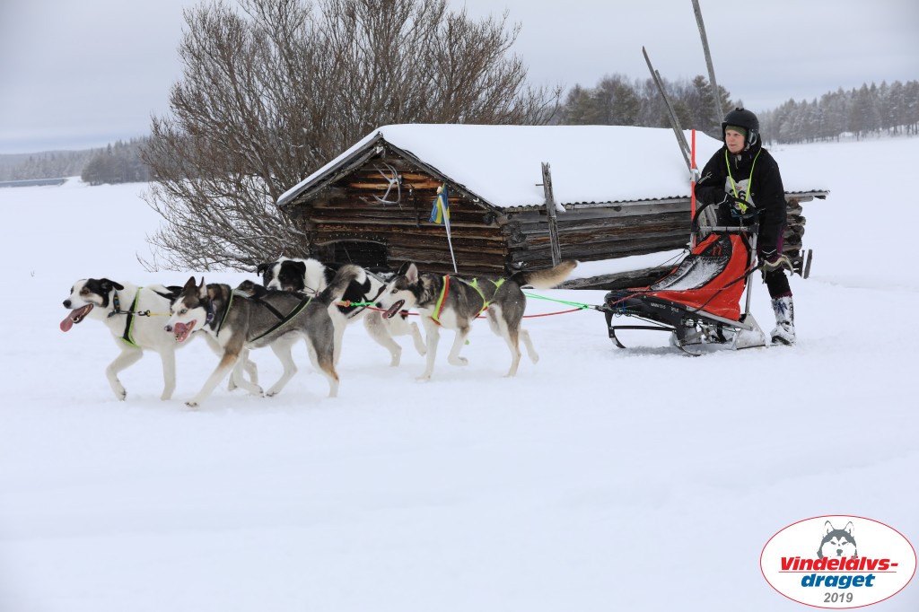 Vindelalvsdraget2019Lordag (59).jpg