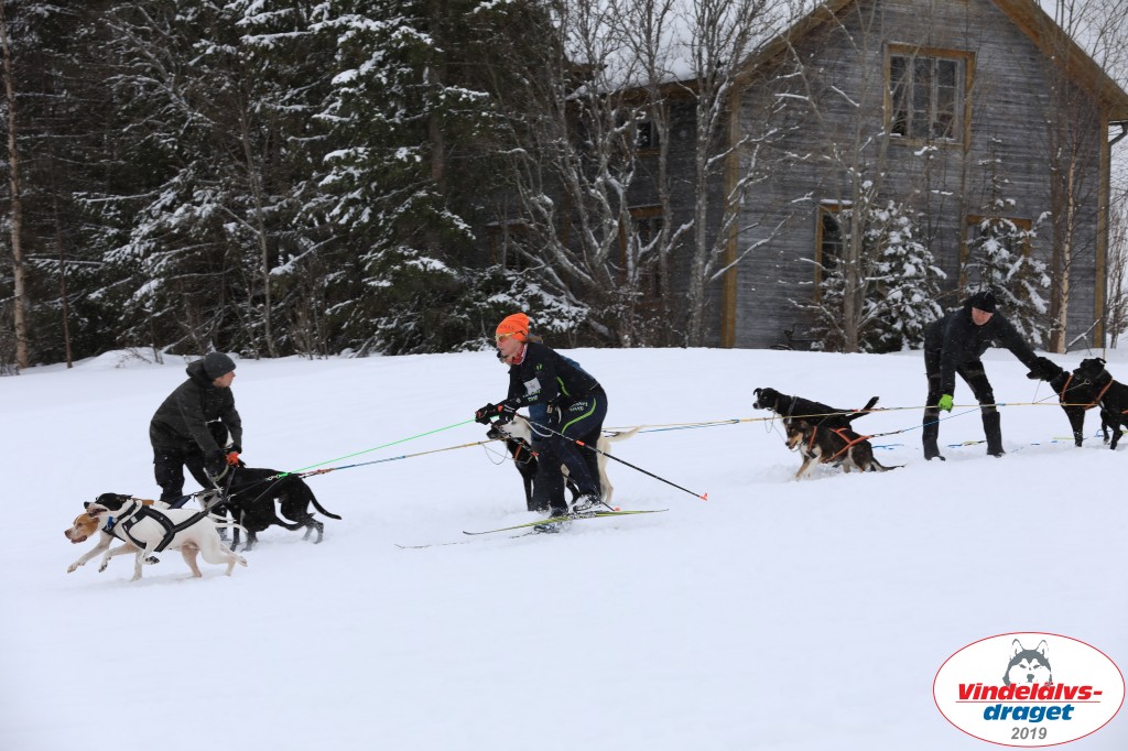 Vindelalvsdraget2019Lordag (60).jpg