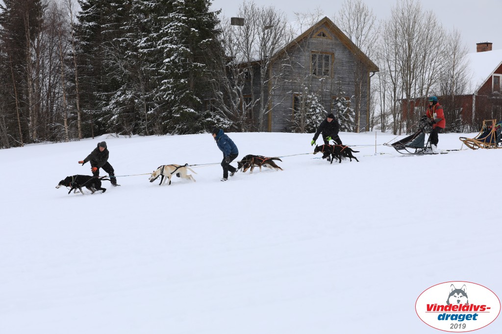 Vindelalvsdraget2019Lordag (61).jpg