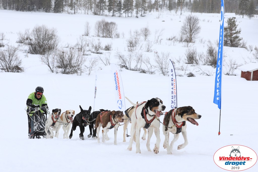 Vindelalvsdraget2019Lordag (65).jpg