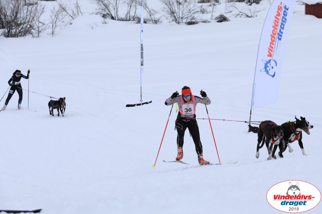 Vindelalvsdraget2019Lordag (69).jpg