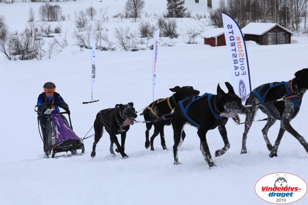 Vindelalvsdraget2019Lordag (71).jpg