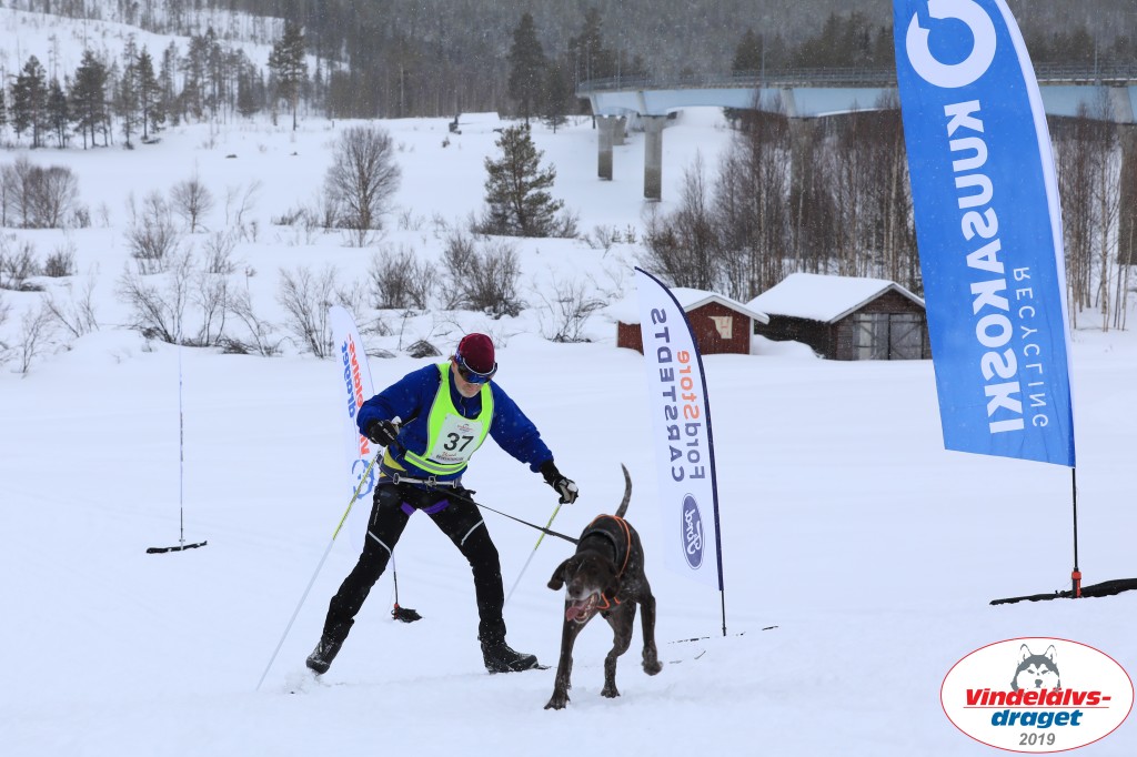 Vindelalvsdraget2019Lordag (77).jpg