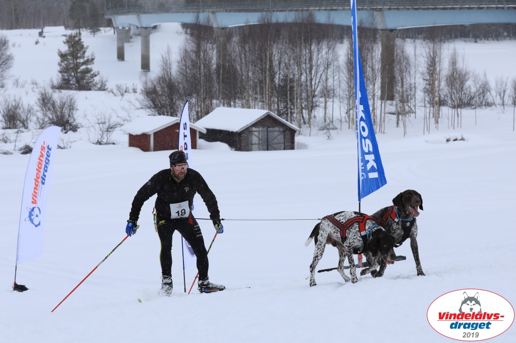 Vindelalvsdraget2019Lordag (79).jpg