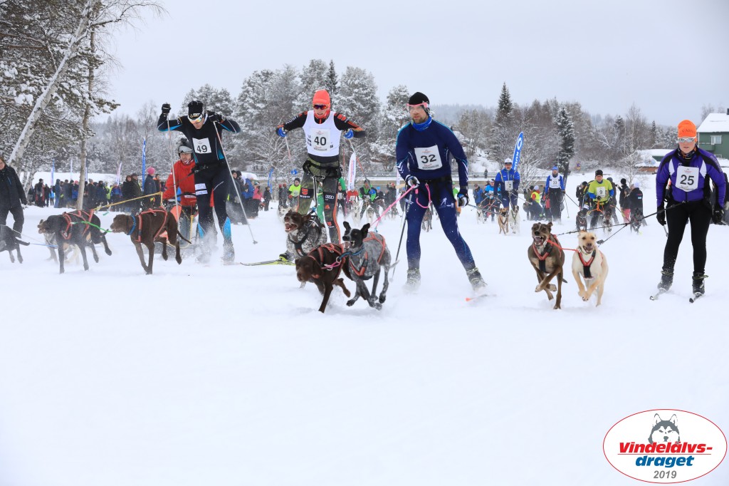 Vindelalvsdraget2019Lordag (8).jpg