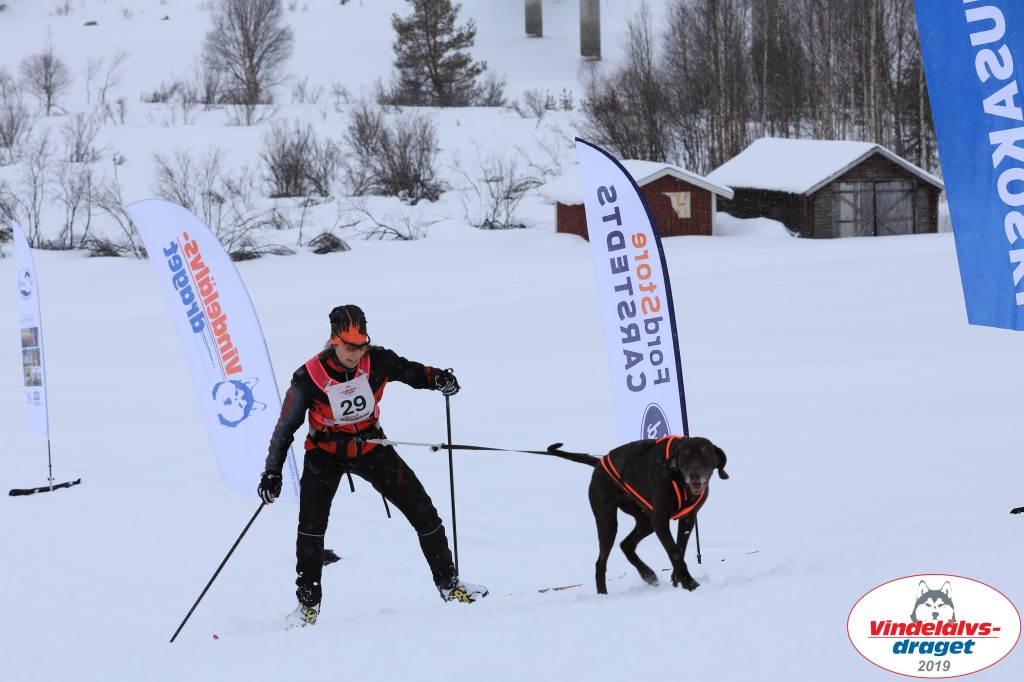 Vindelalvsdraget2019Lordag (84).jpg