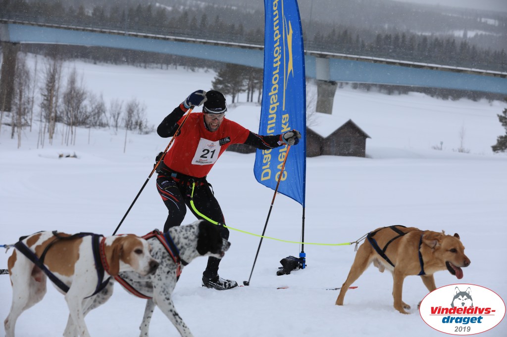 Vindelalvsdraget2019Lordag (86).jpg
