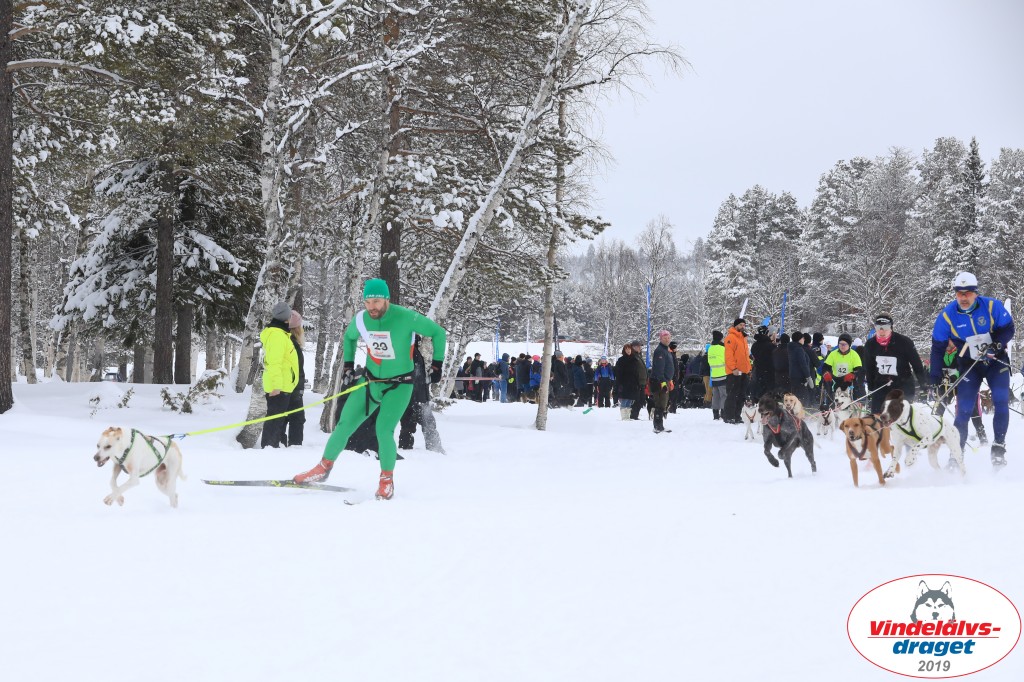 Vindelalvsdraget2019Lordag (9).jpg