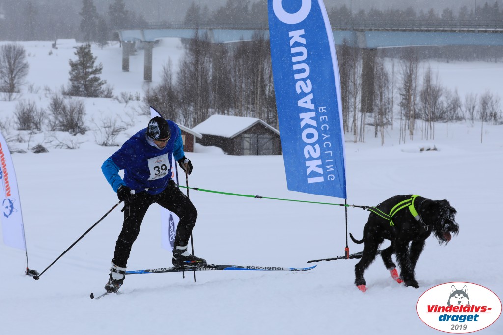 Vindelalvsdraget2019Lordag (91).jpg