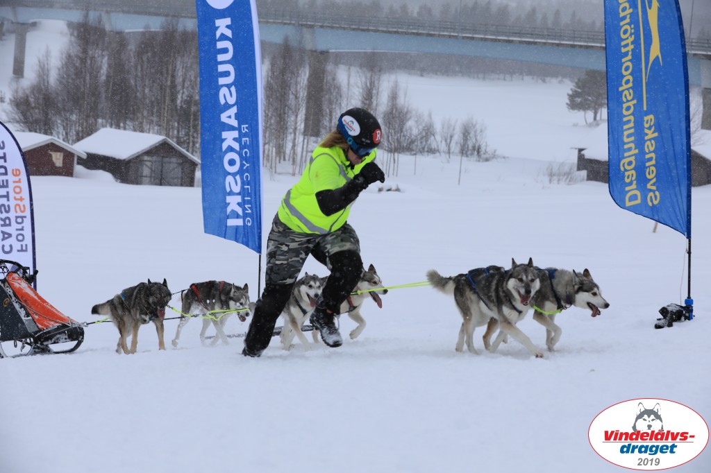 Vindelalvsdraget2019Lordag (95).jpg