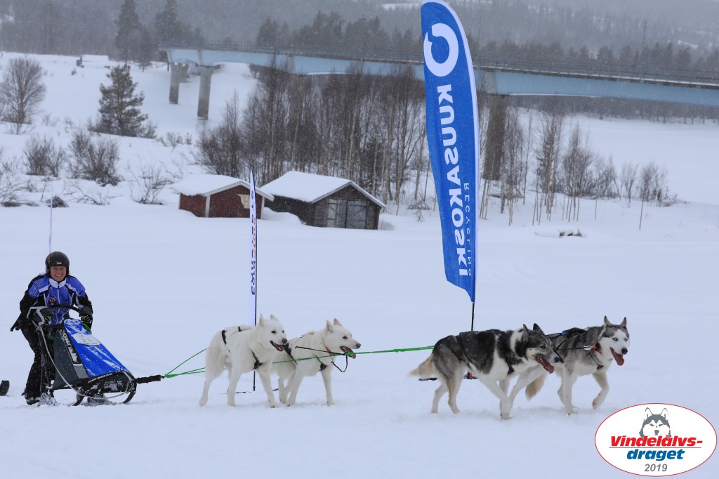 Vindelalvsdraget2019Lordag (96).jpg