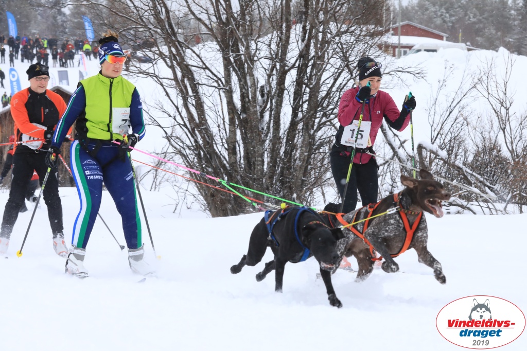 Vindelalvsdraget2019Sunday-12.jpg