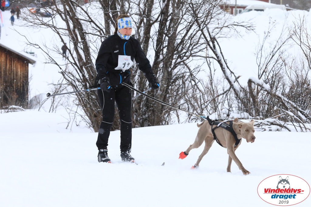 Vindelalvsdraget2019Sunday-14.jpg