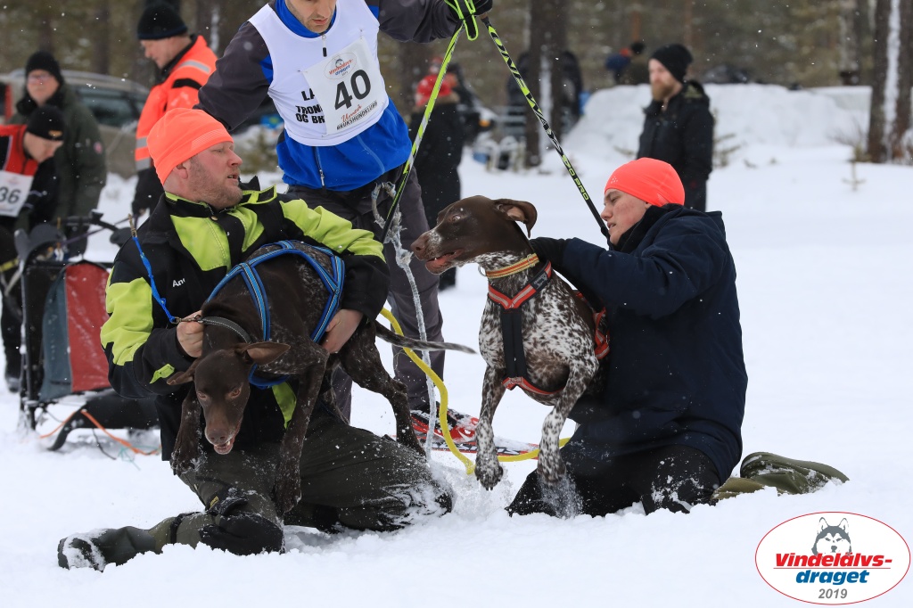 Vindelalvsdraget2019Sunday-19.jpg