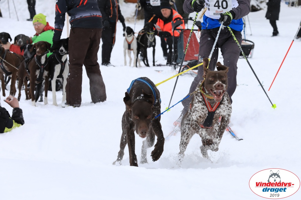 Vindelalvsdraget2019Sunday-20.jpg