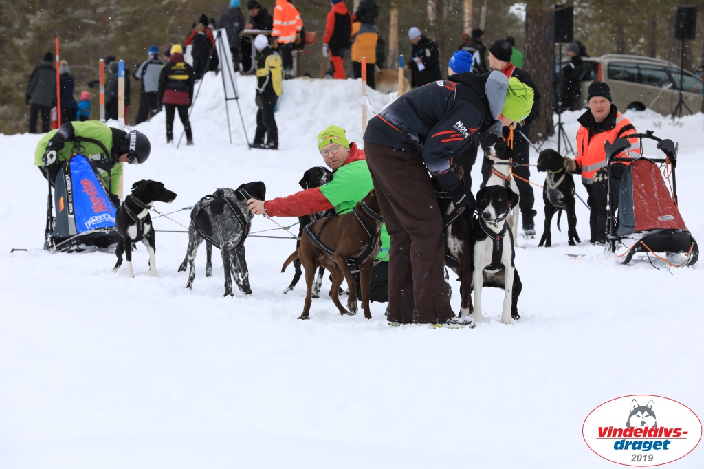 Vindelalvsdraget2019Sunday-21.jpg