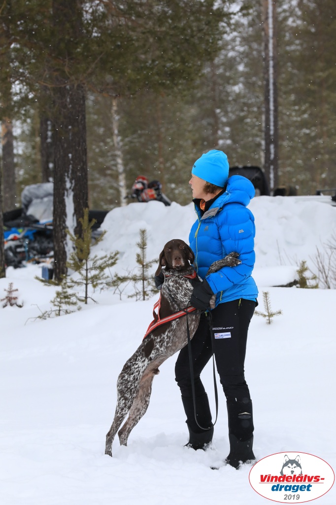 Vindelalvsdraget2019Sunday-22.jpg