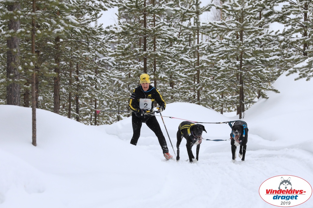 Vindelalvsdraget2019Sunday-28.jpg