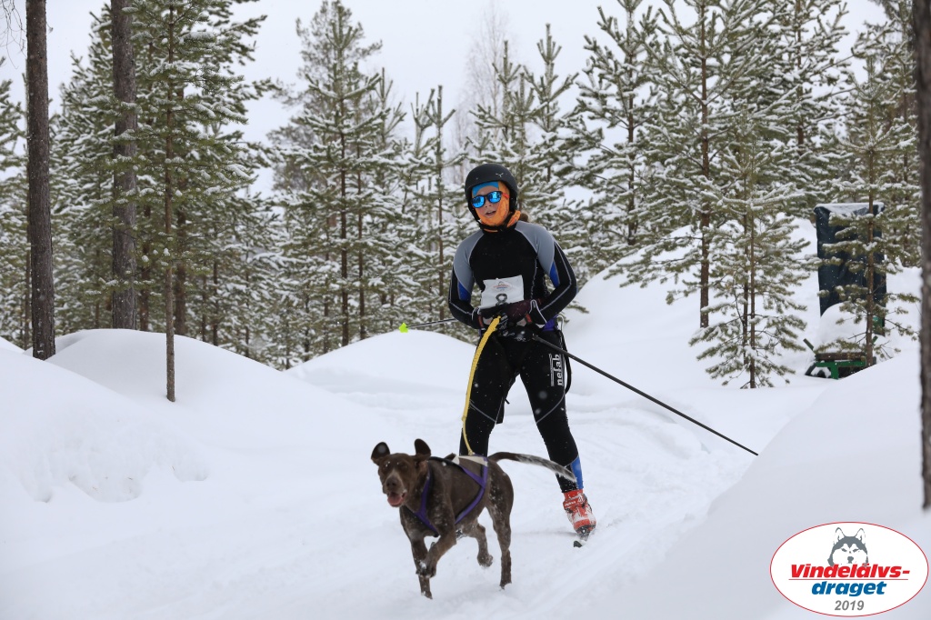 Vindelalvsdraget2019Sunday-30.jpg