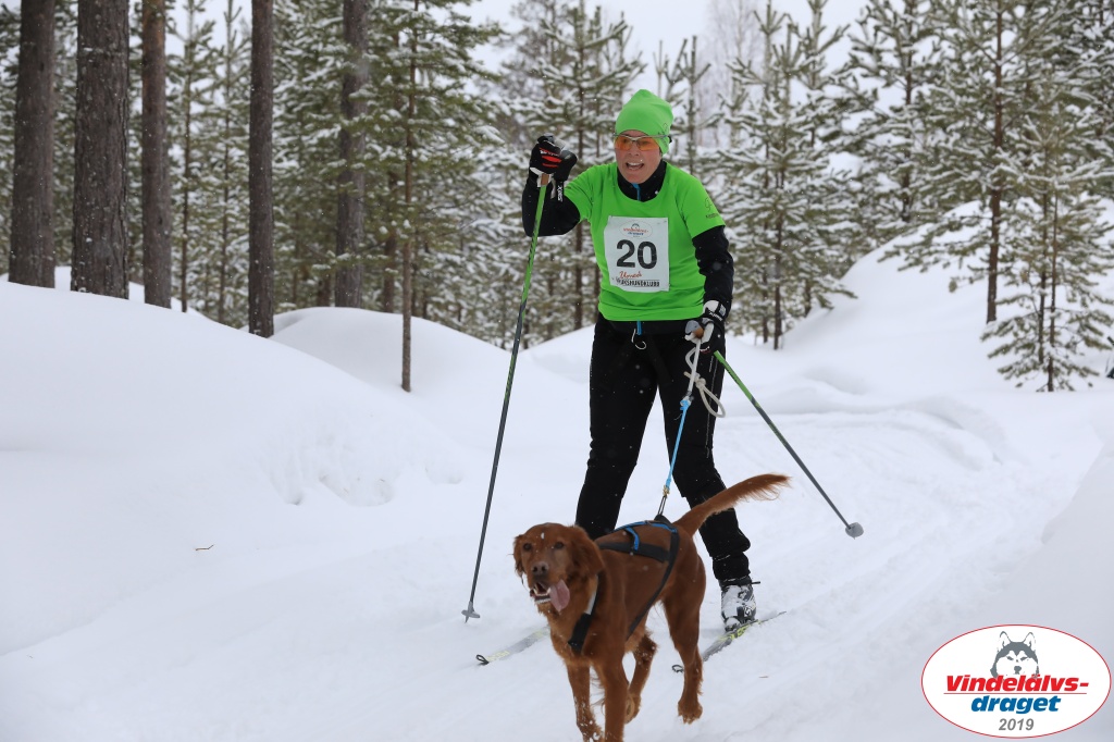 Vindelalvsdraget2019Sunday-31.jpg