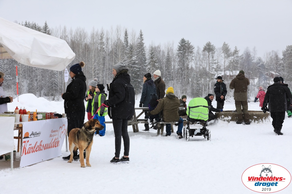 Vindelalvsdraget2019Sunday-34.jpg