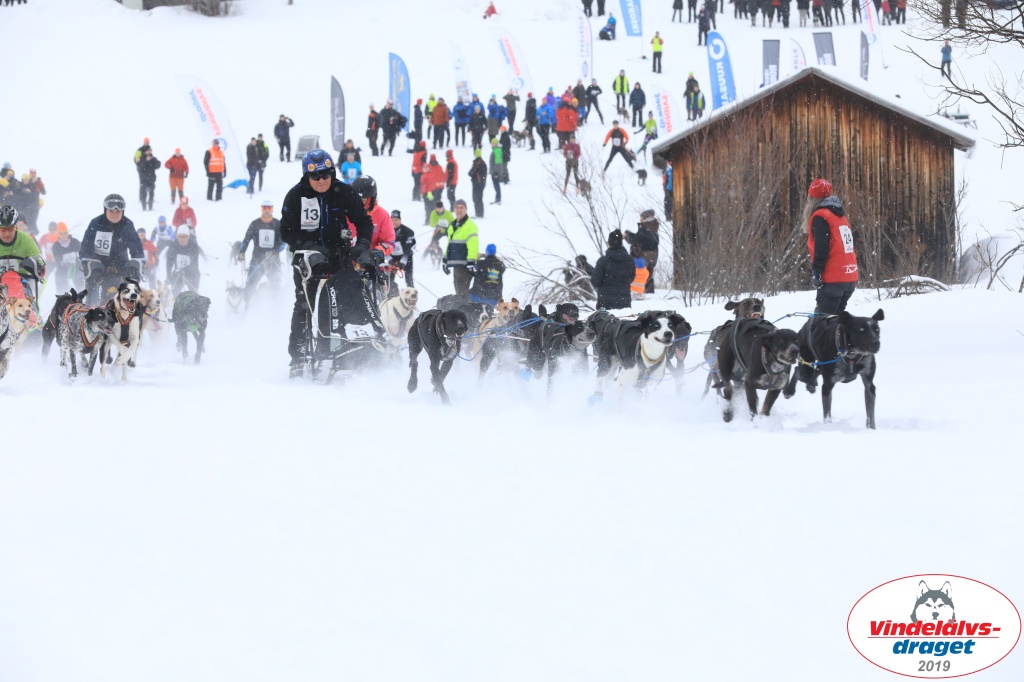 Vindelalvsdraget2019Sunday-4.jpg
