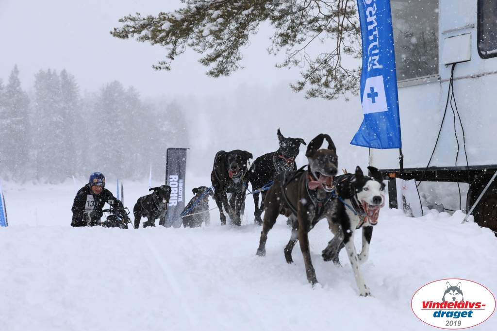 Vindelalvsdraget2019Sunday-41.jpg