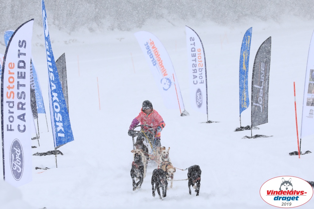 Vindelalvsdraget2019Sunday-43.jpg