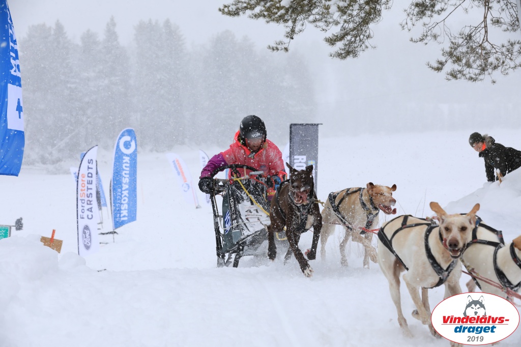 Vindelalvsdraget2019Sunday-44.jpg