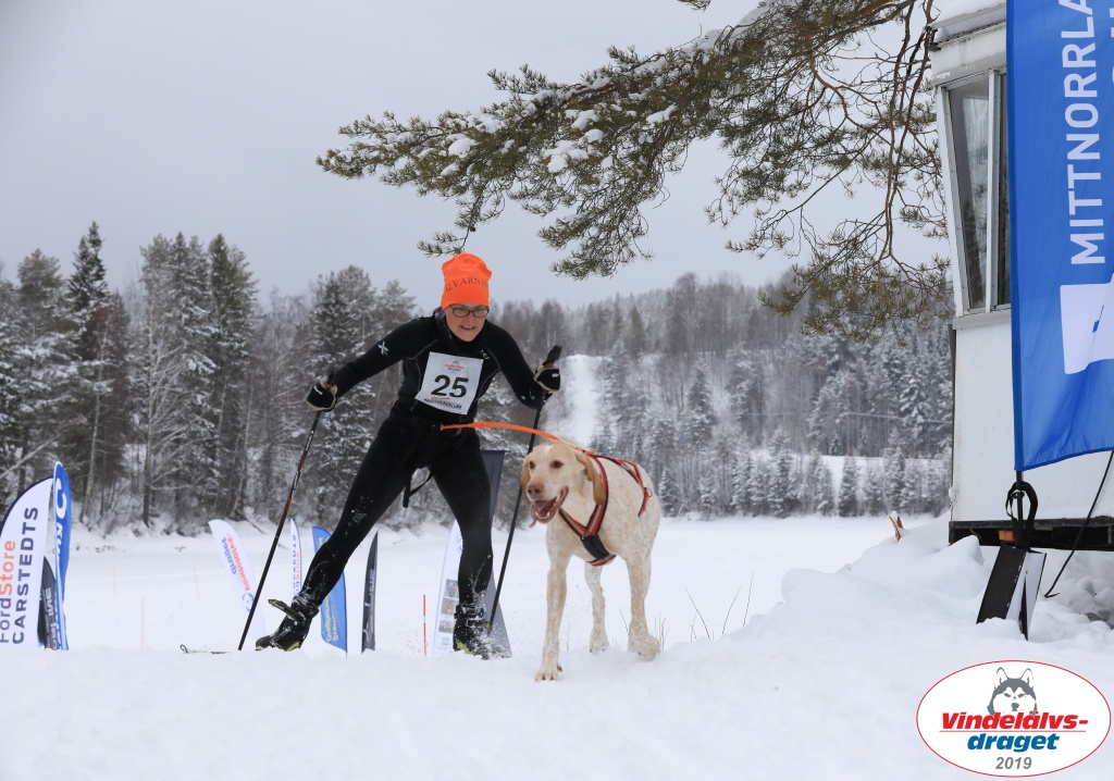Vindelalvsdraget2019Sunday-51.jpg