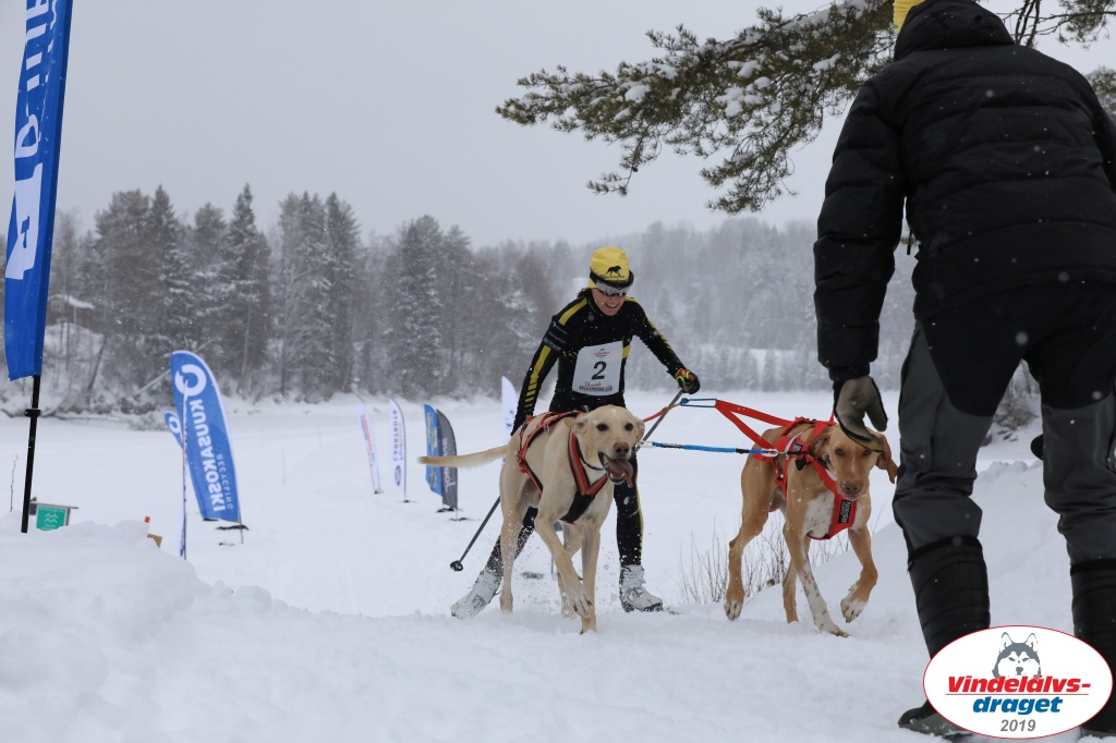 Vindelalvsdraget2019Sunday-57.jpg